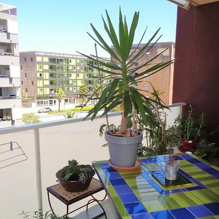Quartier Des Plages 1 Chambre Wifi Climatisation Parking En Sous Sol Apartment *